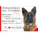 Berger Allemand poils mi-longs, plaque humour "Attention au Chien, j'aime mon job, protéger Maison famille. Salaire, logé nourri