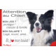 Border Collie noir et blanc à poil long, plaque extérieure humour "Attention au Chien, j'aime mon job, protéger Maison famille. 
