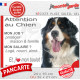 Bouvier Bernois, plaque extérieure humour "Attention au Chien, j'aime mon job, protéger Maison famille. Salaire, logé nourrit ai