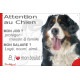 Bouvier Bernois, plaque extérieure humour "Attention au Chien, j'aime mon job, protéger Maison famille. Salaire, logé nourrit ai