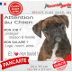 Boxer bringé, plaque extérieure humour "Attention au Chien, j'aime mon job, protéger Maison famille. Salaire, logé nourrit aimé"