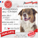 Berger Australien tricolore rouge, plaque extérieure humour "Attention au Chien, j'aime mon boulot" 2 tailles JOB D