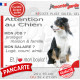 Plaque Attention au Chien humour Berger Australien tricolore noir – mon job ? protéger maison & famille – j’aime mon job logé