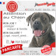 Cane Corso gris bleu, plaque Attention au Chien humour – mon job ? protéger maison & famille – j’aime mon job logé nourri aimé…