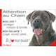 Cane Corso gris bleu, plaque Attention au Chien humour – mon job ? protéger maison & famille – j’aime mon job logé nourri aimé…