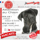 Cane Corso noir, plaque Attention au Chien humour – mon job ? protéger maison & famille – j’aime mon job logé nourri aimé…