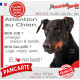 Dobermann noir et feu, plaque Attention au Chien humour – mon job ? protéger maison & famille – j’aime mon job logé nourri aimé…