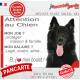 Berger Belge Groenendael, plaque Attention au Chien humour – mon job ? protéger maison & famille – j’aime mon job logé nourri