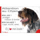 Griffon Korthals, plaque Attention au Chien humour – mon job ? protéger maison & famille – j’aime mon job logé nourri aimé…