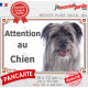 Labrit gris Tête, plaque portail "Attention au Chien" pancarte panneau berger des Pyrénées bleu photo arlequin