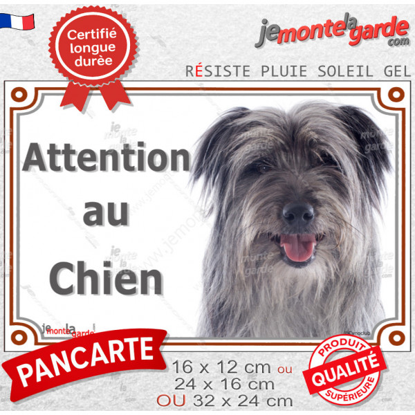 Labrit gris Tête, plaque portail "Attention au Chien" pancarte panneau berger des Pyrénées bleu photo arlequin
