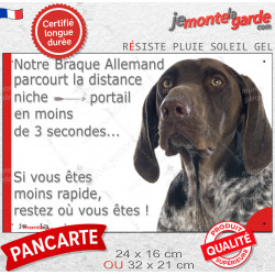 Braque Allemand marron foie, plaque humour "parcourt distance Niche-Portail moins 3 secondes, rapide" photo résiste intempéries