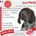 Braque Allemand marron, plaque humour "distance Niche-Portail 3 secondes" 2 tailles 3S D