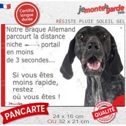 Braque Allemand noir et blanc, plaque humour "parcourt distance Niche-Portail moins 3 secondes, rapide" photo résiste intempérie