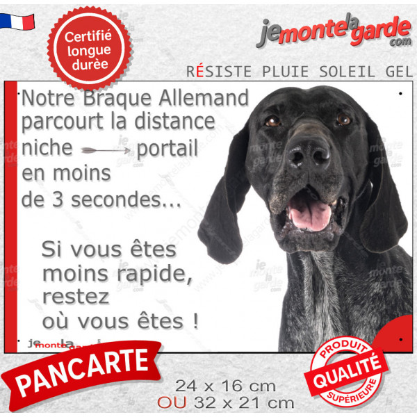 Braque Allemand noir et blanc, plaque humour "parcourt distance Niche-Portail moins 3 secondes, rapide" photo résiste intempérie