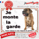 Cane Corso Italiano fauve assis, plaque portail "Je Monte la Garde, risques périls" photo résiste intempéries