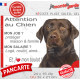 Labrador Chocolat, plaque Attention au Chien humour – mon job ? protéger maison & famille – j’aime mon job logé nourri aimé…