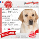 Labrador Sable, plaque Attention au Chien humour – mon job ? protéger maison & famille – j’aime mon job logé nourri aimé…