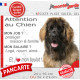 Leonberg, plaque Attention au Chien humour – mon job ? protéger maison & famille – j’aime mon job logé nourri aimé…