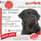 Rottweiler, plaque Attention au Chien humour – mon job ? protéger maison & famille – j’aime mon job logé nourri aimé… Rott
