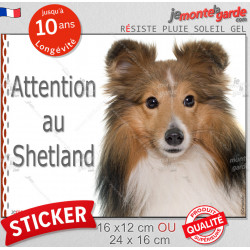 Berger des Shetlands fauve, panneau autocollant "Attention au Chien" sticker photo adhésif résiste intempéries