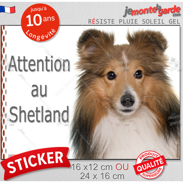 Berger des Shetlands fauve, panneau autocollant "Attention au Chien" sticker photo adhésif résiste intempéries