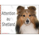 Berger des Shetlands fauve, panneau autocollant "Attention au Chien" sticker photo adhésif résiste intempéries