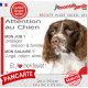Springer Anglais foie, plaque Attention au Chien humour – mon job ? protéger maison & famille – j’aime mon job logé nourri aimé…