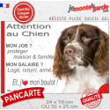 Springer Anglais foie, plaque extérieure humour "Attention au Chien, j'aime mon boulot" 2 tailles JOB D