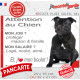 Staffie noir, plaque Attention au Chien humour – mon job ? protéger maison & famille – j’aime mon job logé nourri aimé…