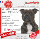 Staffie bringé, plaque Attention au Chien humour – mon job ? protéger maison & famille – j’aime mon job logé nourri aimé…