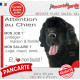 Terre Neuve noir, plaque Attention au Chien humour – mon job ? protéger maison & famille – j’aime mon job logé nourri aimé…