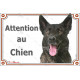Berger Hollandais bringé à poils courts, plaque portail "Attention au Chien" photo résiste intempéries