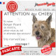 Berger Picard, plaque portail humour "Attention au Chien, Jetez Vous au Sol, secours, courage" photo résiste intempéries