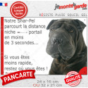 Shar-Peï noir, plaque humour "distance Niche-Portail 3 secondes" 2 tailles 3SEC D