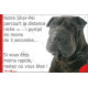 Shar-Peï noir plaque extérieure humour "parcourt distance Niche-Portail moins 3 secondes, rapide" photo résiste intempéries