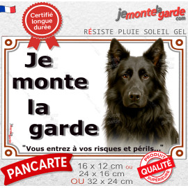 Berger Allemand noir à poil long, plaque portail photo "Je Monte la Garde, vous entrez risques périls" photo, Résiste pluie sole