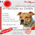 Amstaff fauve, plaque portail humour "Attention au Chien, Jetez Vous au Sol" 2 tailles D