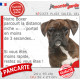 Boxer Bringé Tête, plaque Portail humour "parcourt distance niche-portail moins de 3 secondes" photo résiste intempéries
