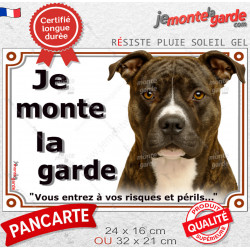 Amstaff bringé, plaque portail extérieure "Je Monte la Garde, entrez à vos risques et périls" photo American Staff