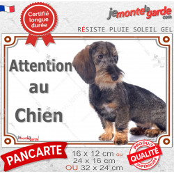 Teckel Poils Durs couleur sanglier assis, Panneau portail "Attention au Chien" plaque rue photo extérieure résiste intempéries