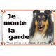 Colley tricolore, plaque portail extérieure "Je Monte la Garde, entrez à vos risques et périls" photo résiste intempéries