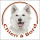 Berger Blanc Suisse, sticker rond "Chien à Bord" Disque autocollant adhésif voiture auto vitre photo