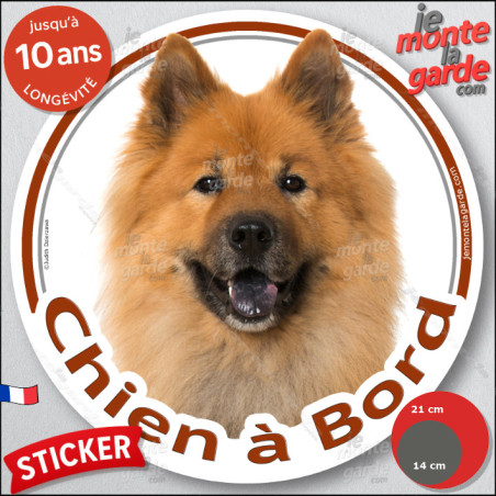 Eurasier fauve rouge, disque autocollant "Chien à Bord" Sticker photo voiture eurasien orange résiste pluie soleil gel, idée cad