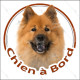 Eurasier fauve rouge, disque autocollant "Chien à Bord" Sticker photo voiture eurasien orange résiste intempéries