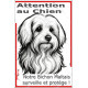 Plaque portail verticale "Attention au Chien, notre Bichon Maltais surveille et protège" dessin stylisé, résiste intempéries