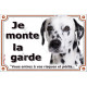 Dalmatien taches noires, plaque portail extérieur "Je Monte la Garde, entrez à vos risques et périls" photo résiste intempéries