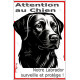 Plaque portail verticale "Attention au Chien, notre Labrador surveille et protège" dessin stylisé noir et blanc, résiste intempé