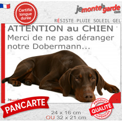 Plaque portail humour extérieure "Attention au Chien, Merci de ne pas déranger notre Dobermann marron et feu" Photo
