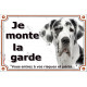 Dogue Allemand arlequin, plaque portail "Je Monte la Garde, entrez à vos risques et périls" photo Danois blanc taches noires